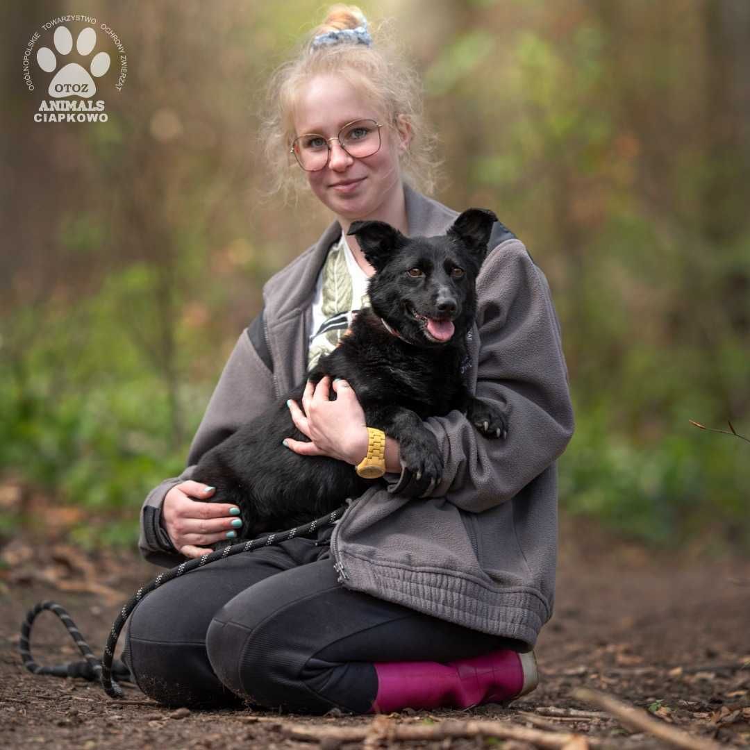 Lulu - wulkan energii szuka domu! OTOZ Animals Schronisko Ciapkowo