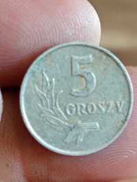 Sprzedam monete 5 groszy 1962 r