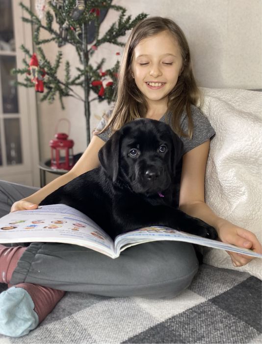 Породні, якісні цуценята. Розплідник КСУ-FCI