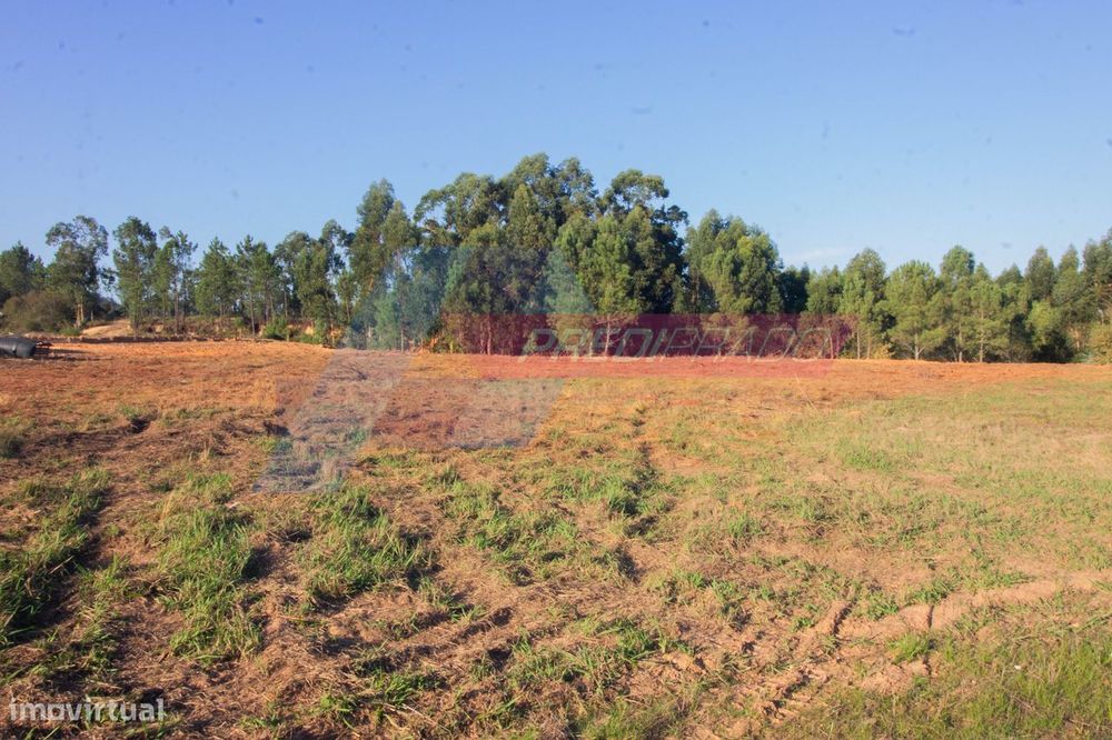 Terreno para Construção em Cervães, Vila Verde!