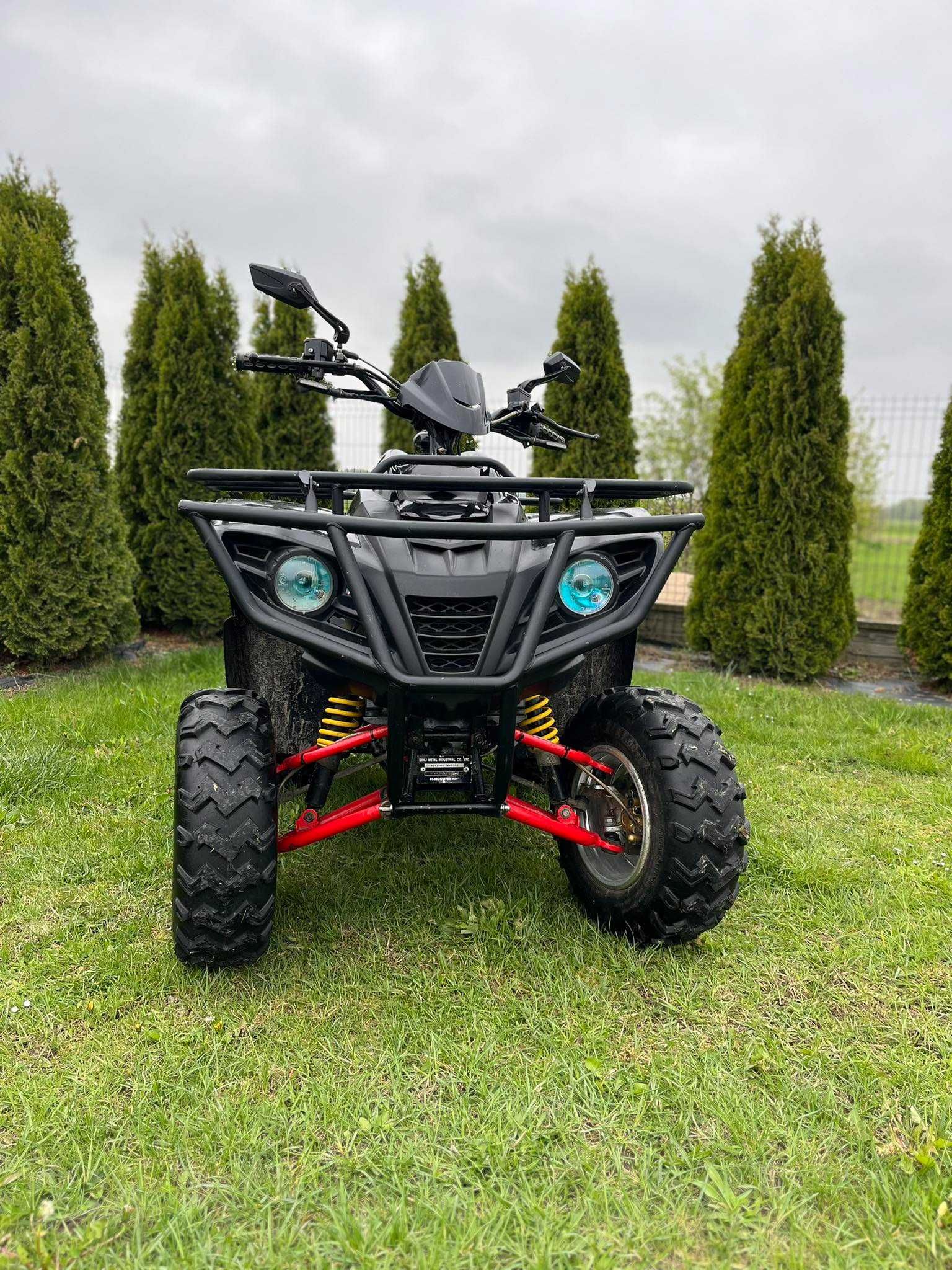 Quad Dinli Massai 300