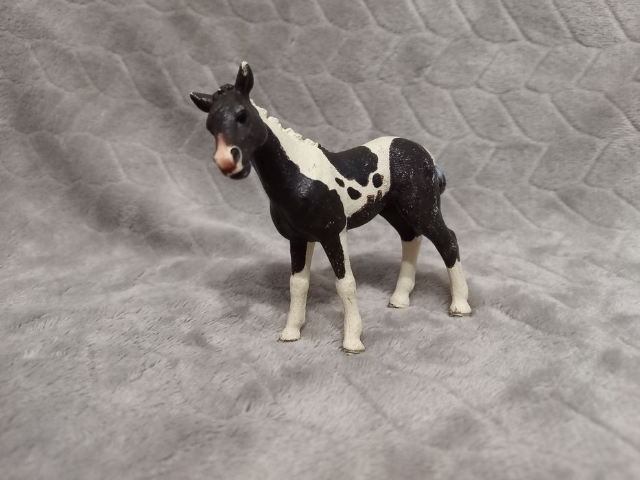 Źrebaczek schleich