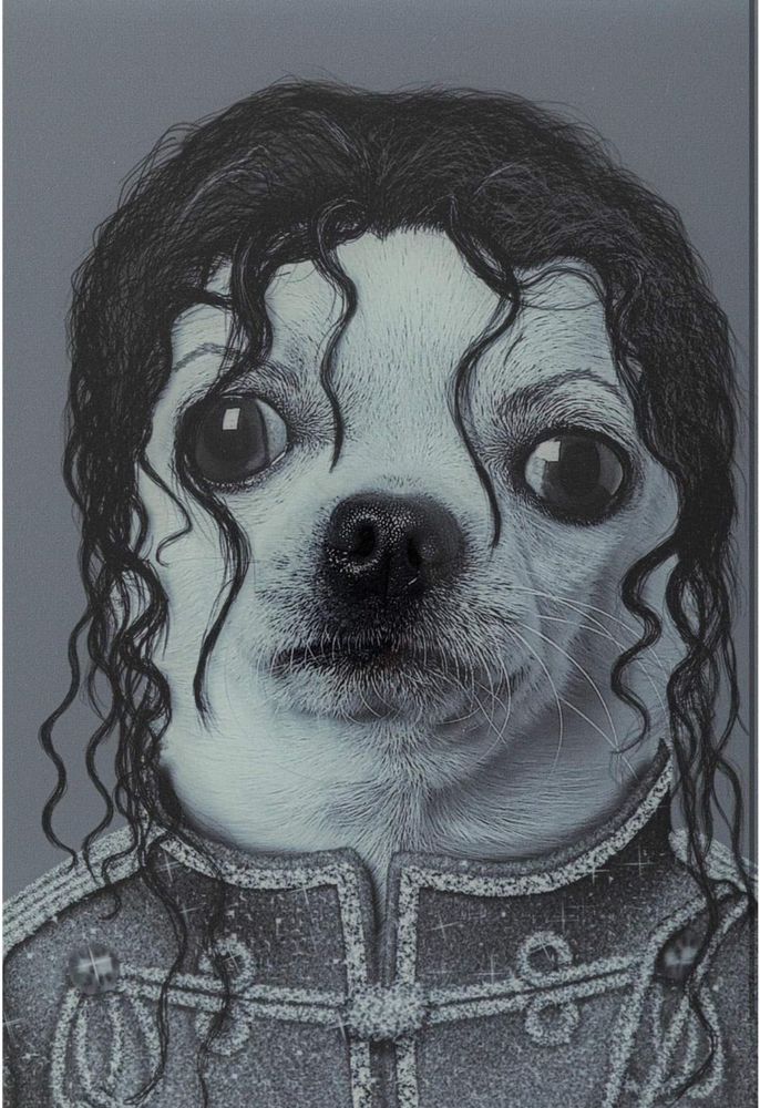 quadro moldura em espelho King Dog