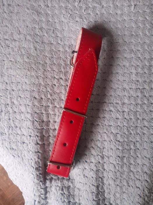 Obroża dla psa nowa