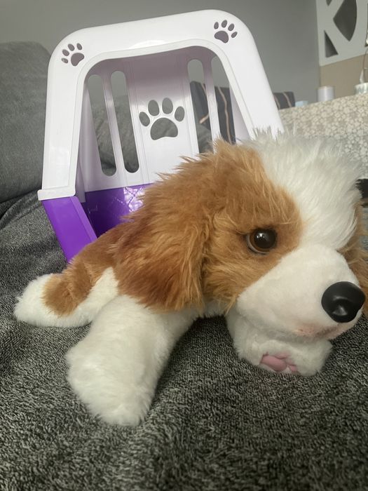 Piesek interaktywny Little Live Pets