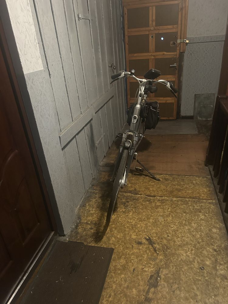 Gazelle orange 120