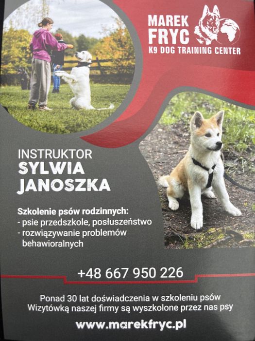 Szkolenie Psów, Psie Przedszkole, Posłuszeństwo, Sport