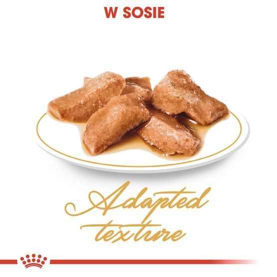 Karma dla kotów dorosłych rasy maine coon Royal Canin plasterki 85g