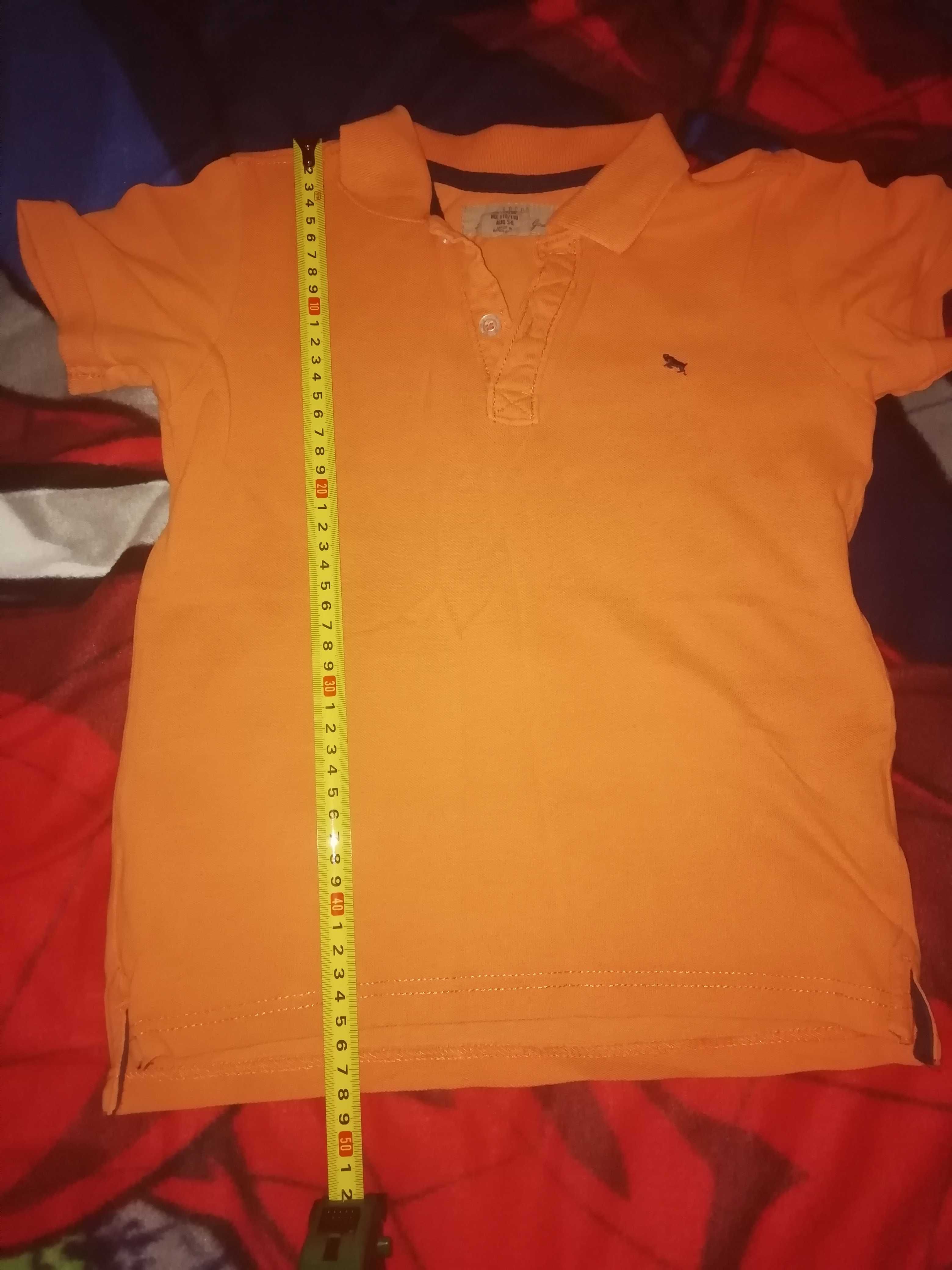 Bluzka polo chłopięca H&M roz.110/116 wiek 5/6 lat