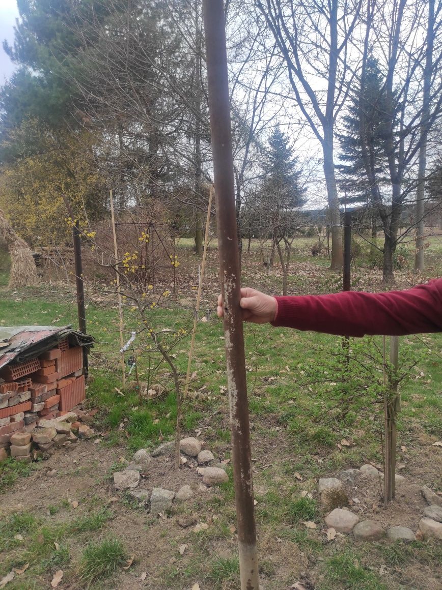 Sprzedam  rury grubościenne  v50