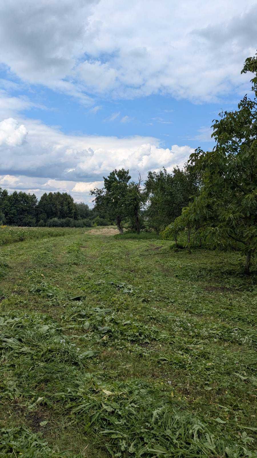 будинок та земельна ділянка 19 сот., с. Великосілки