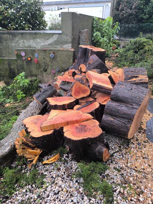 Vendo lenha de cedro