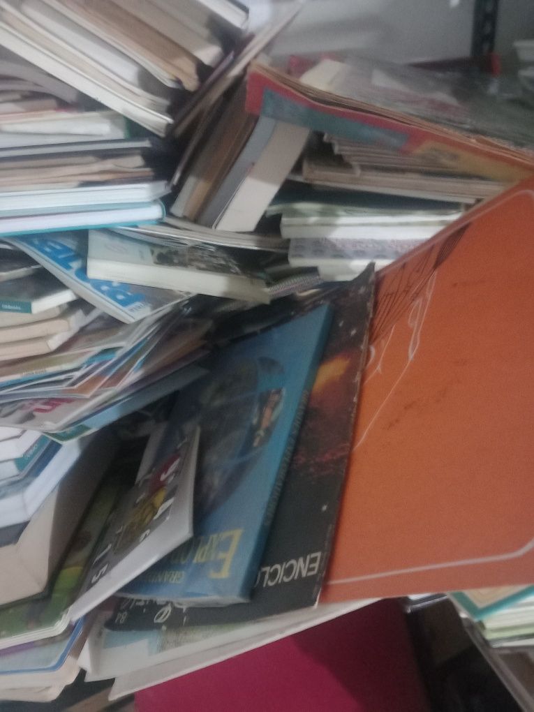 Lote de livros  2.000