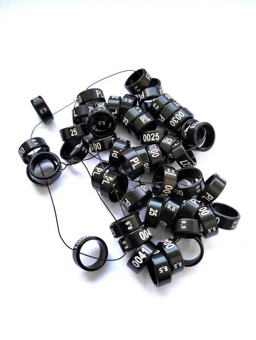 Obrączki aluminiowe dla papug 2025 czarne, obrączki stałe, rodowe