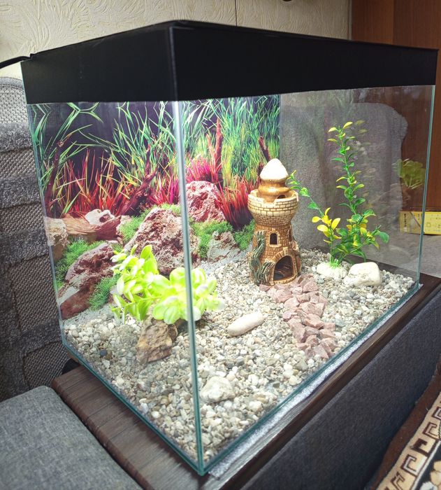 Аквариумы 40 л.со всем необходим