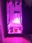 Growbox pełen zestaw