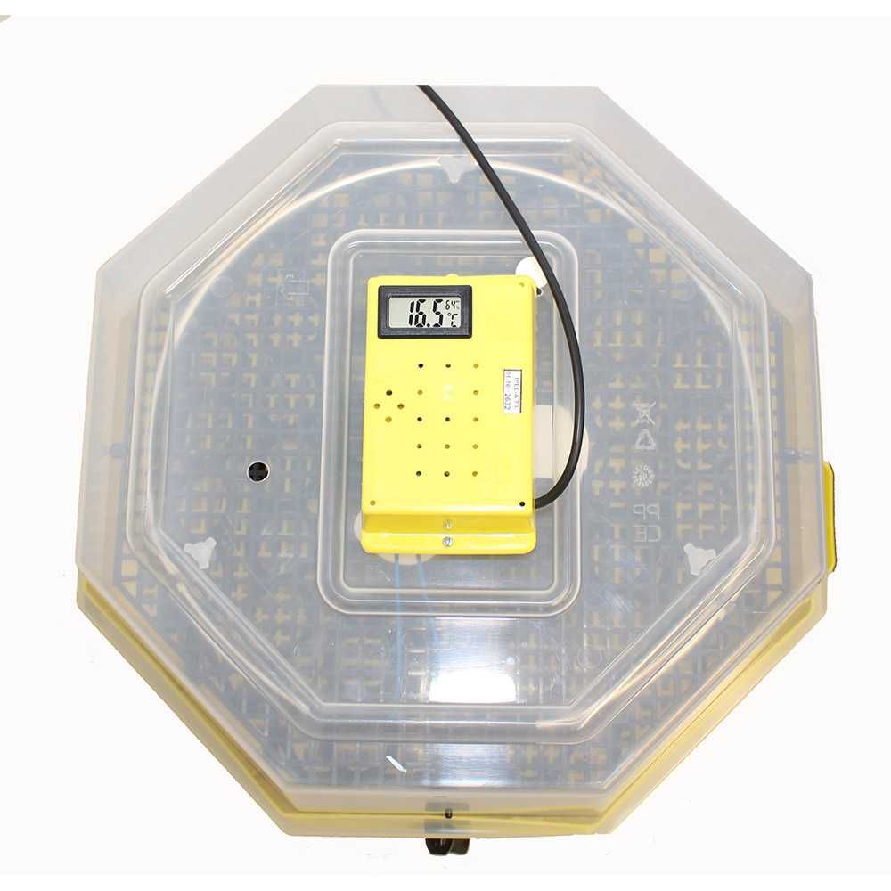 Inkubator lęgowy CLEO 5 z LCD i tacą półautomatyczną, zbiornik na wodę