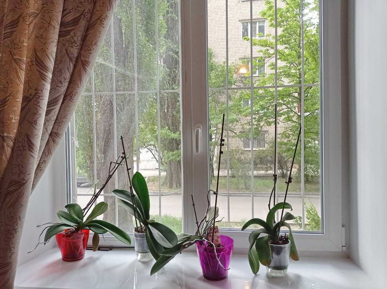Продам 3-х комнатную квартиру, первый этаж, левый берег