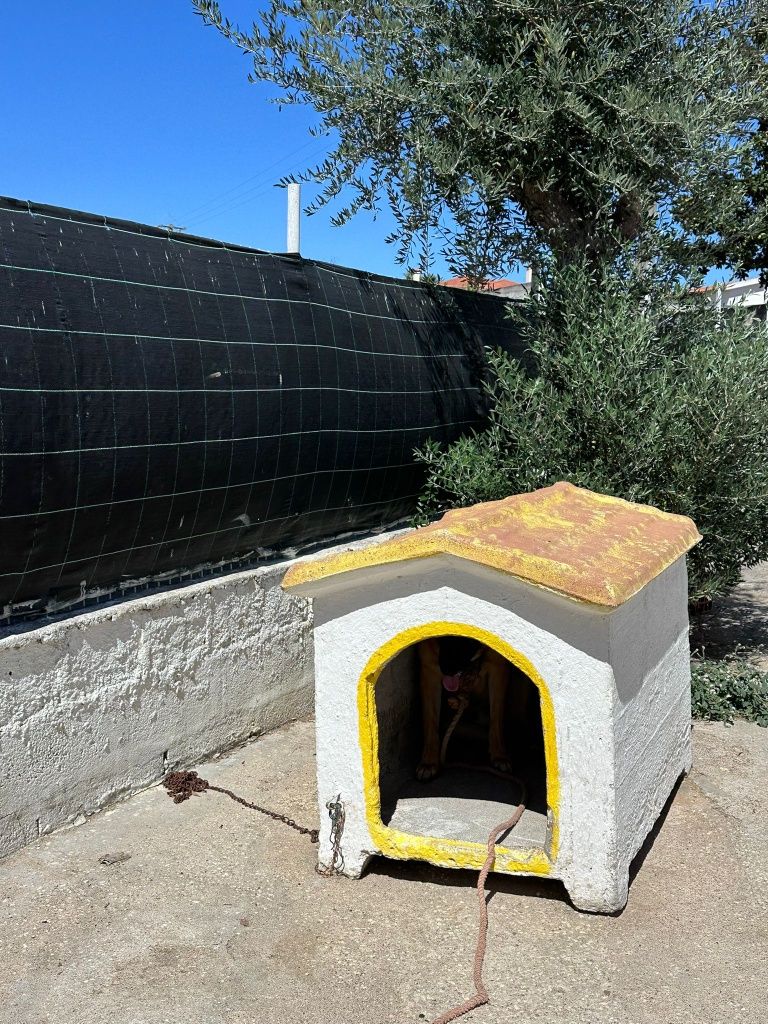 Casota Para Cães XXL, em pedra
