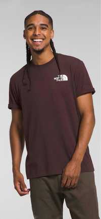 Футболка The North Face NSE back print T-shirt in brown