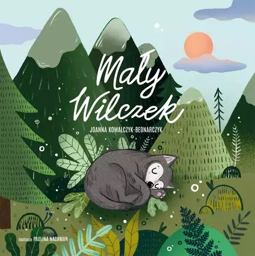 Mały Wilczek. Studio Koloru