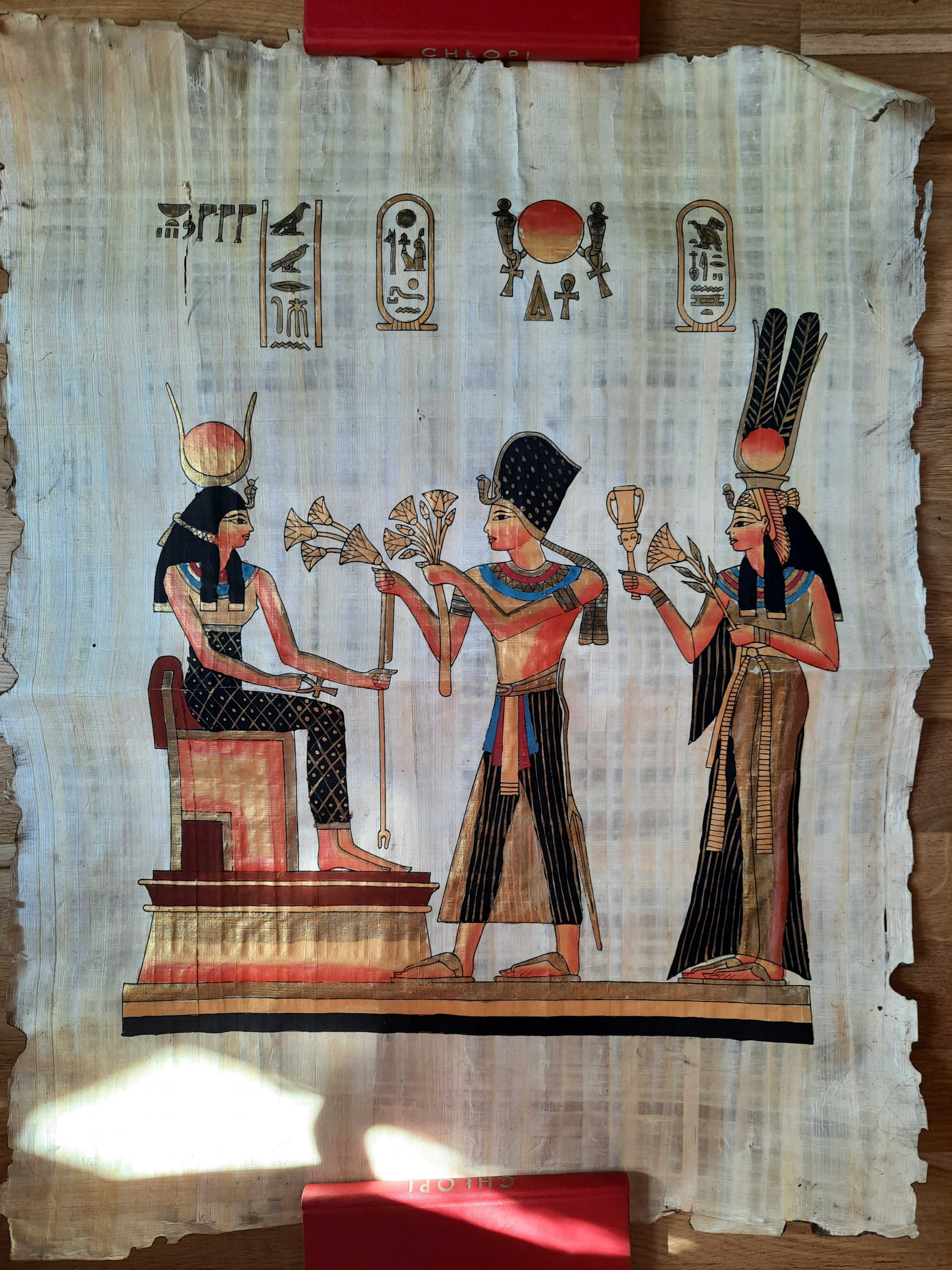 Duży papirus z Egiptu