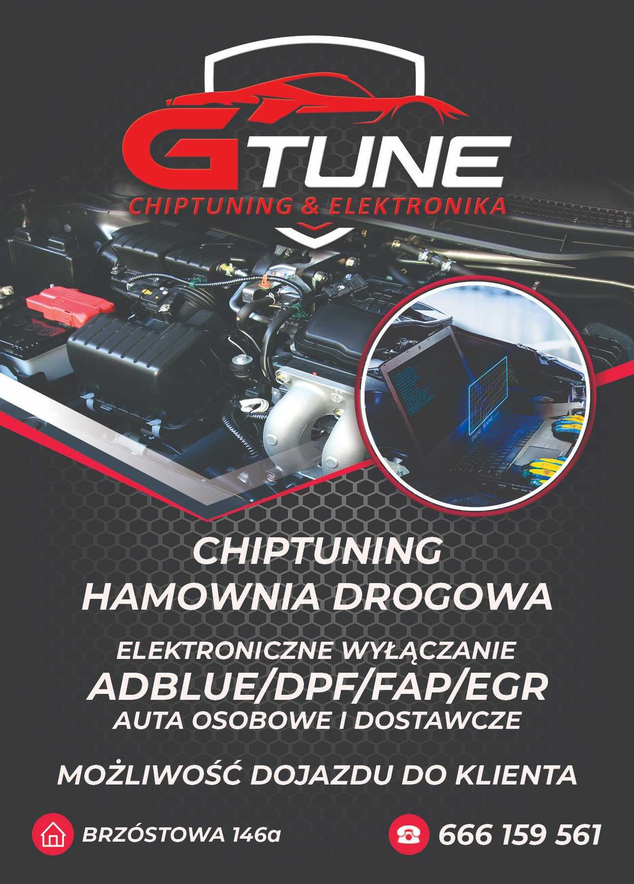 ChipTuning Usuwanie ADBLUE DPF EGR DTC START STOP File Service