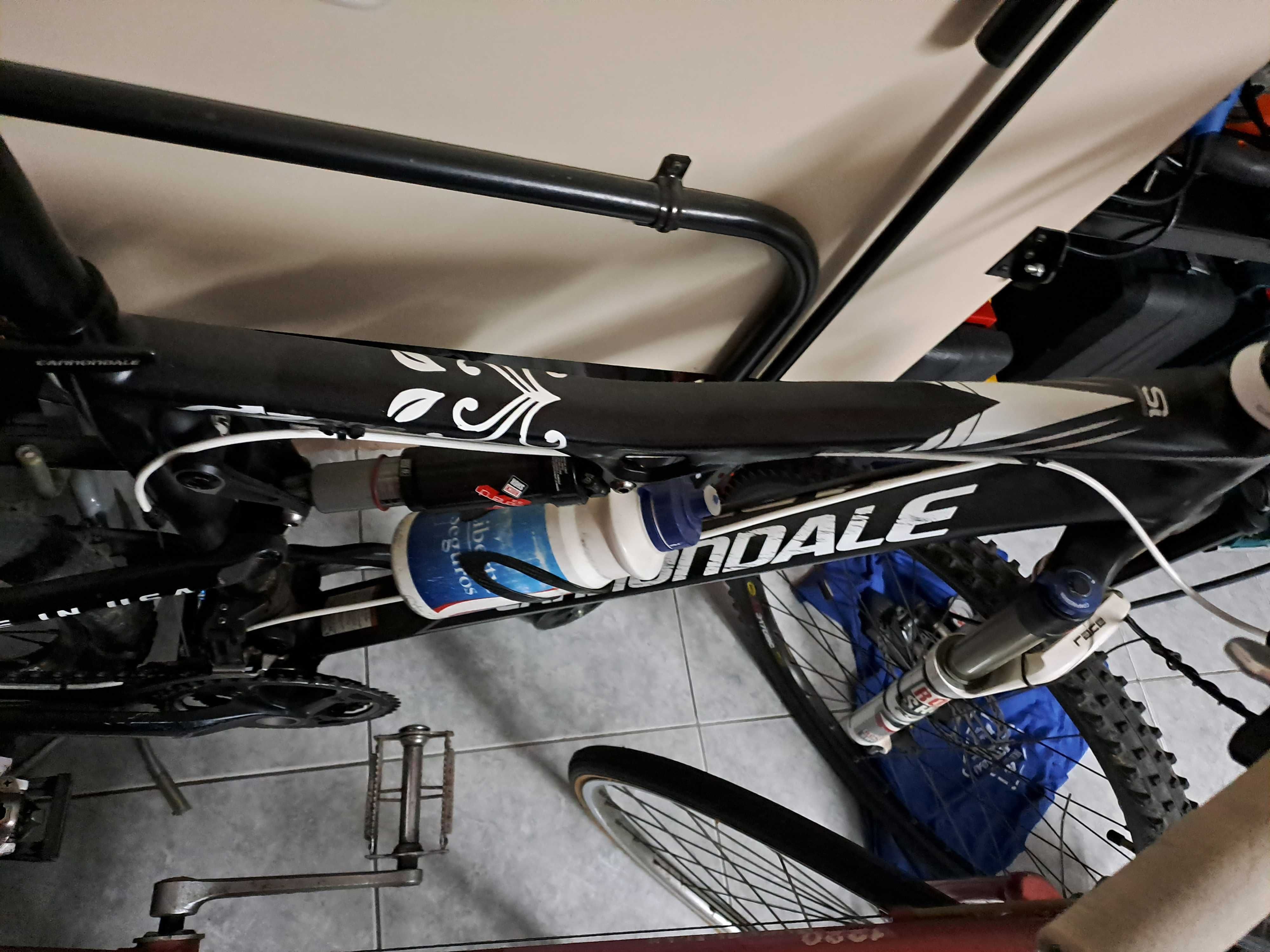 bicicleta canodale