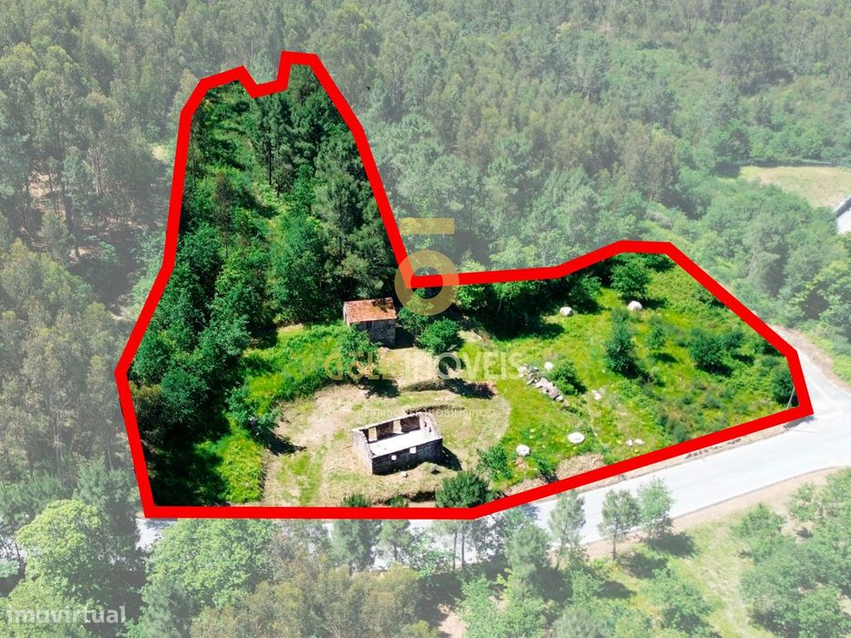 Terreno Rústico  Venda em Moimenta,Cinfães