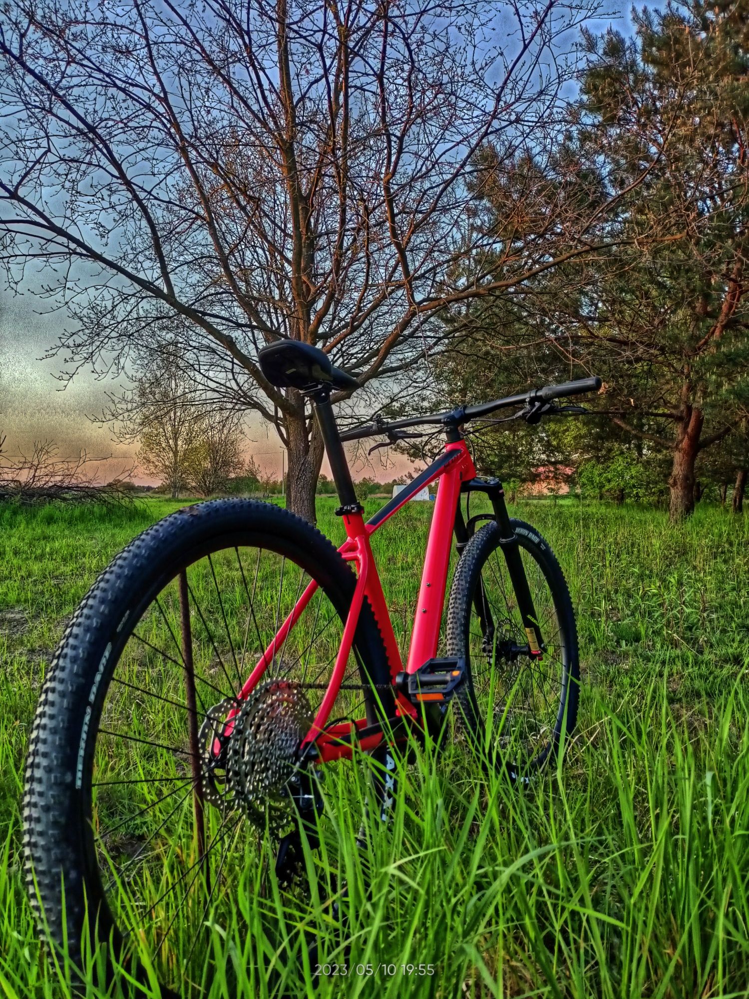 Scott scale 980 .
