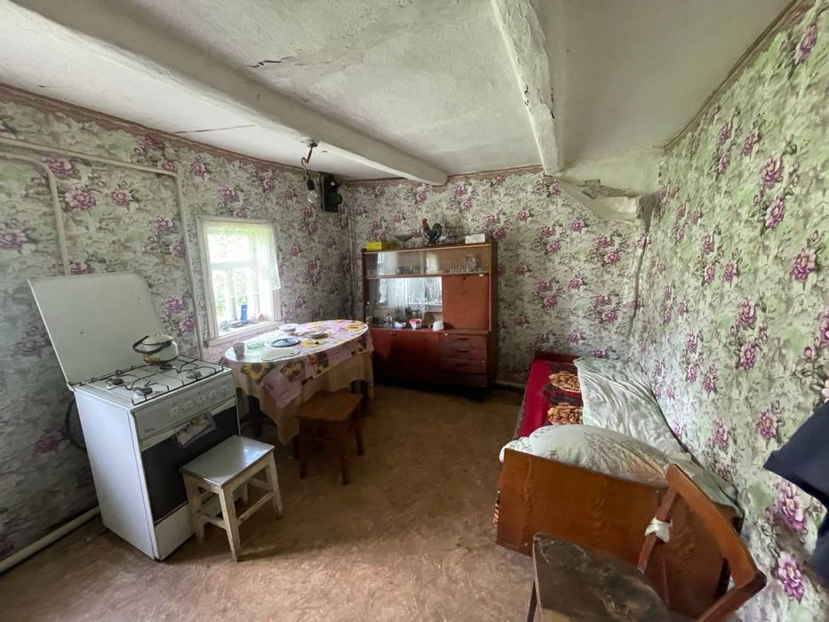 Будинок село Шапіївка