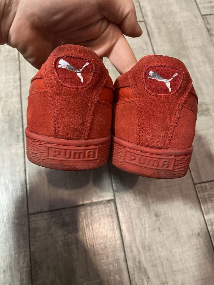 Puma мужские кеды