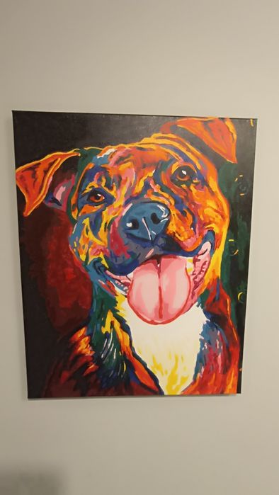Obraz kolorowy pies, amstaff 50 cm x 40 cm