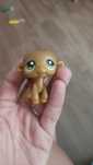 Littlest pet shop