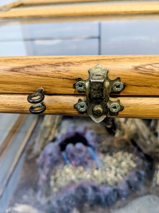 Терраріум (37 на 39 см)