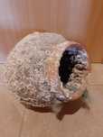 Pote de apanha de polvos
