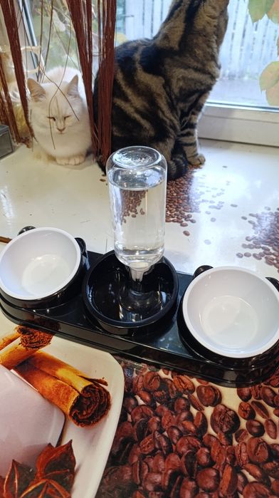 Миска + автоматическая поилка для котов