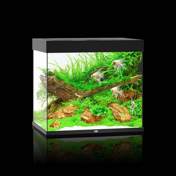 NOWE Akwarium Juwel Lido 200 LED, zestaw akwariowy