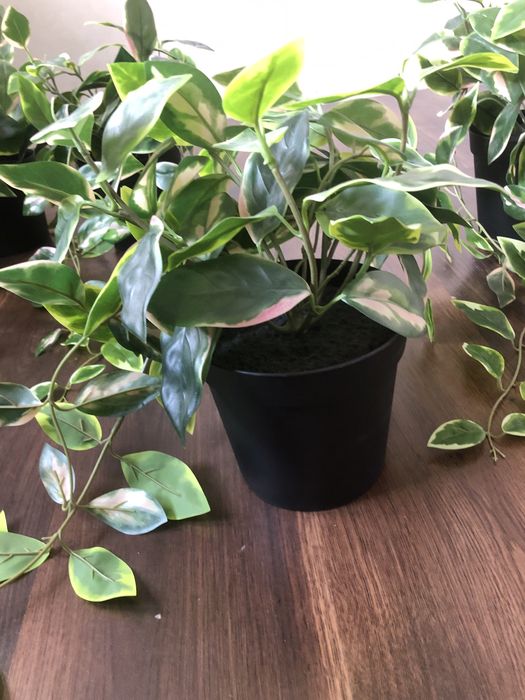 Kwiat sztuczny Fejka IKEA