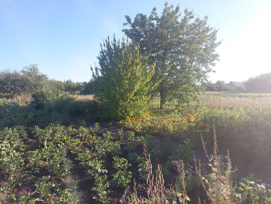 Продам участок в Солоницевском Отг (п Берминводы)