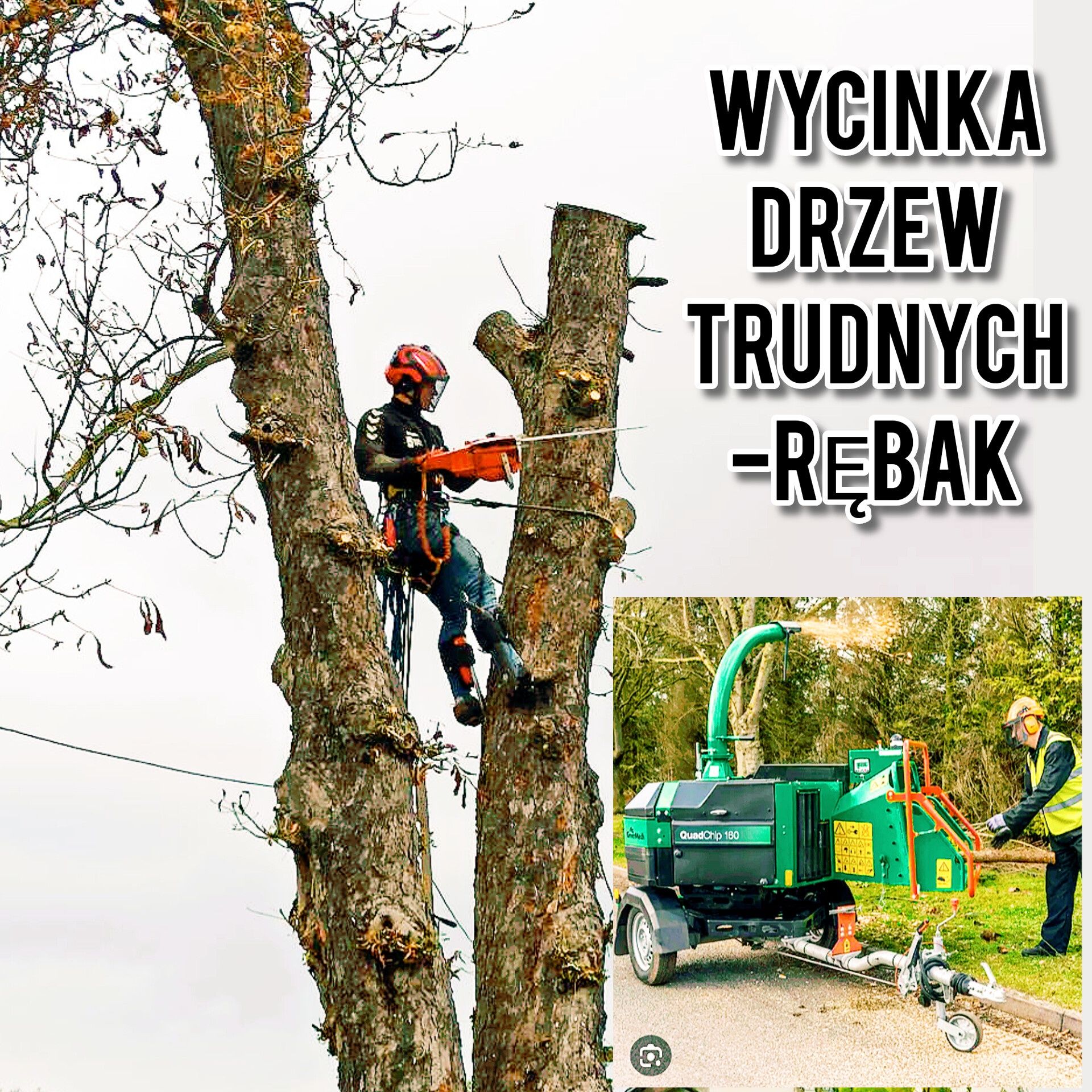 Wycinka drzew, przycinka, Arborysta, usługi rębakiem. Frezarka do pni