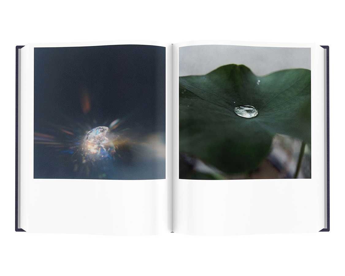 Книга Rinko Kawauchi: Illuminance