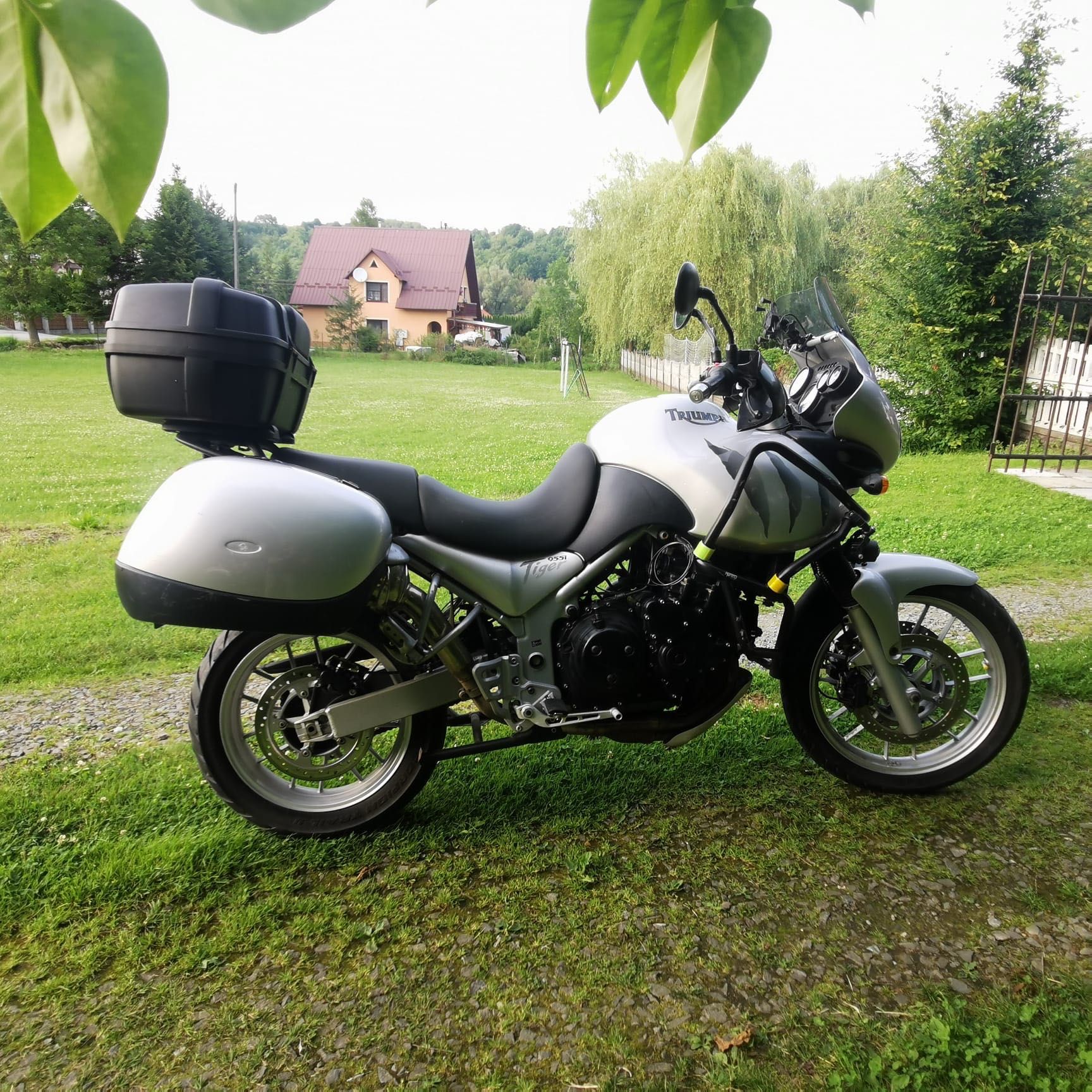Triumph Tiger 955I