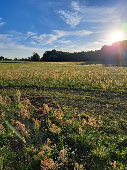 Sprzedam działkę budowlaną 1400m² w Ptaszkowicach