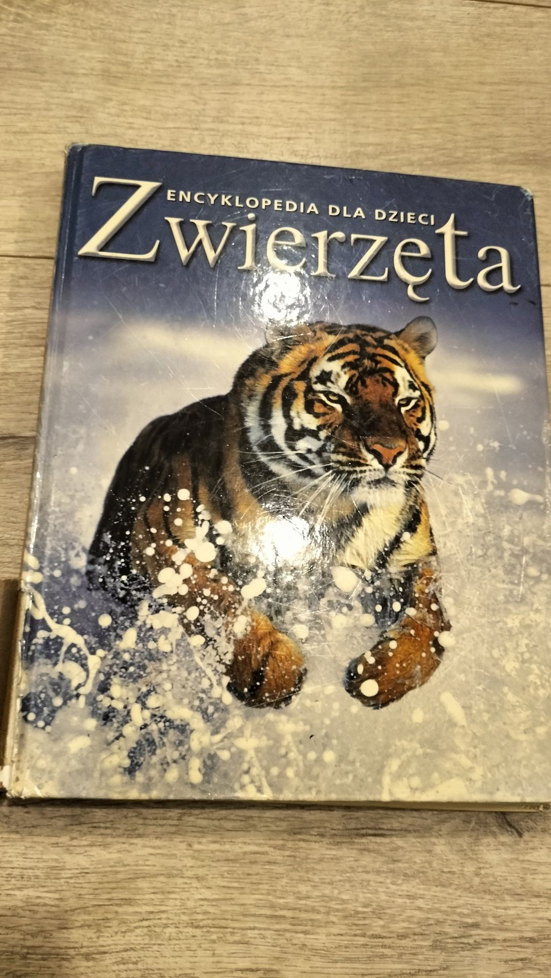 Zwierzęta encyklopedia dla dzieci