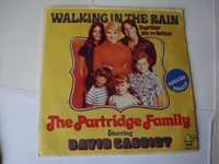 Vinil: David Cassidy /The Partridge Family