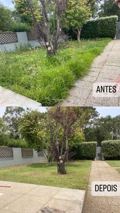 Limpeza de terrenos e manutenção de jardins