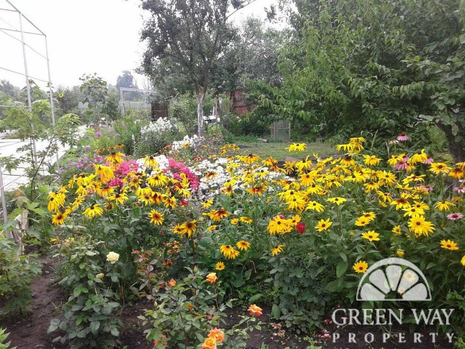 Продаж Терміново будинок с.Красне 160м2 25соток