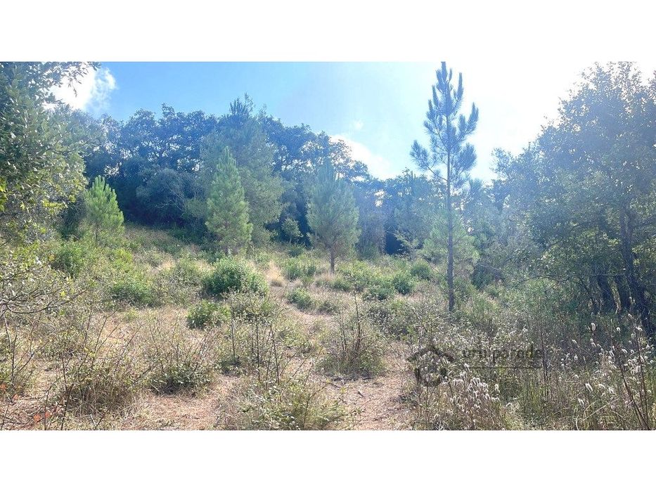 Lote de terreno rústico com 8.750 m2, no Freixial, Bucelas