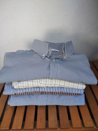 Camisas Pierre Cardin